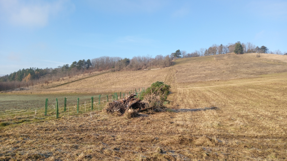 image from Errichtung eines Totholzhaufens