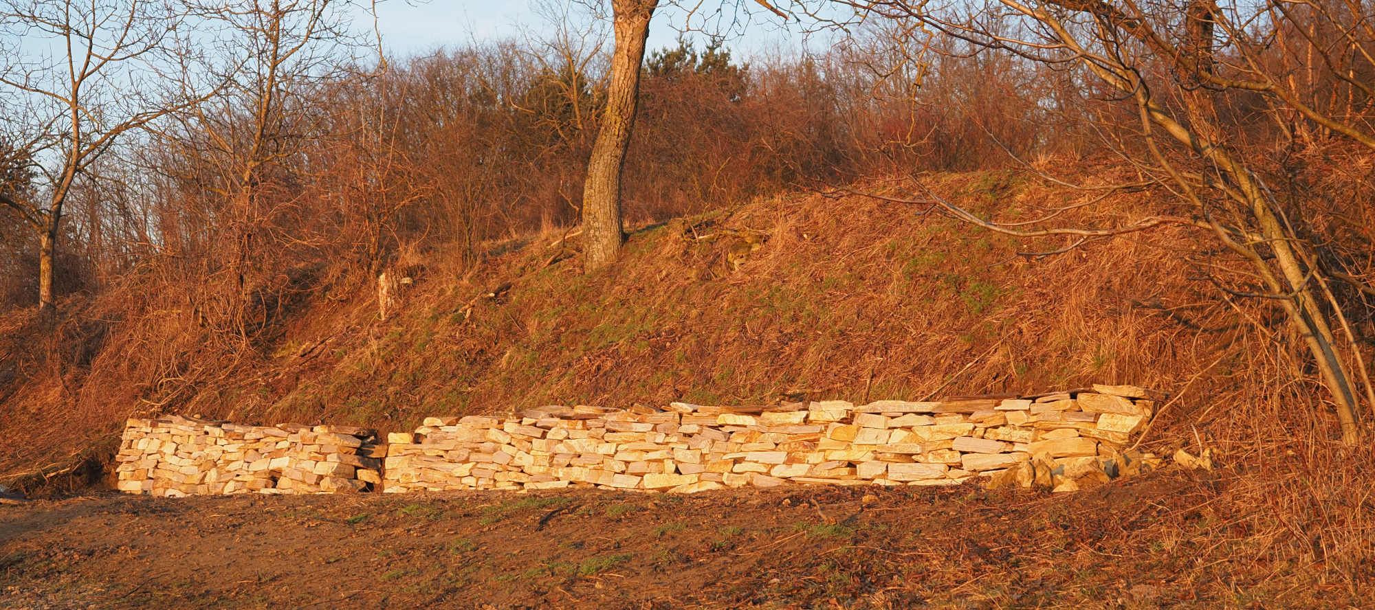 image from Trockensteinmauer am Waldberg